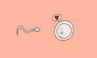 代生成功率,广州三代试管婴儿更好的医院预约流程！附最新费用一览！