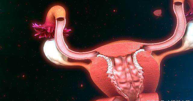 供卵代怀网,广州中山大学附属首位医院发布第三代试管婴儿指南，你知道吗？
