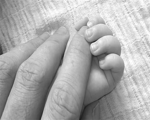 助孕价格,广州三代试管婴儿三代成功率是多少！5个点告诉你！